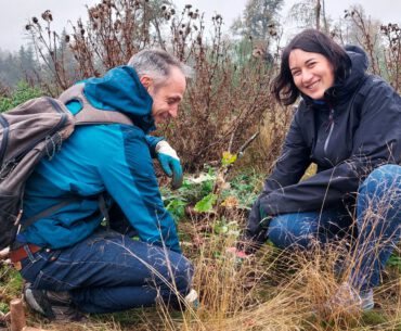 Tree planting initiative: HIOKI Europe